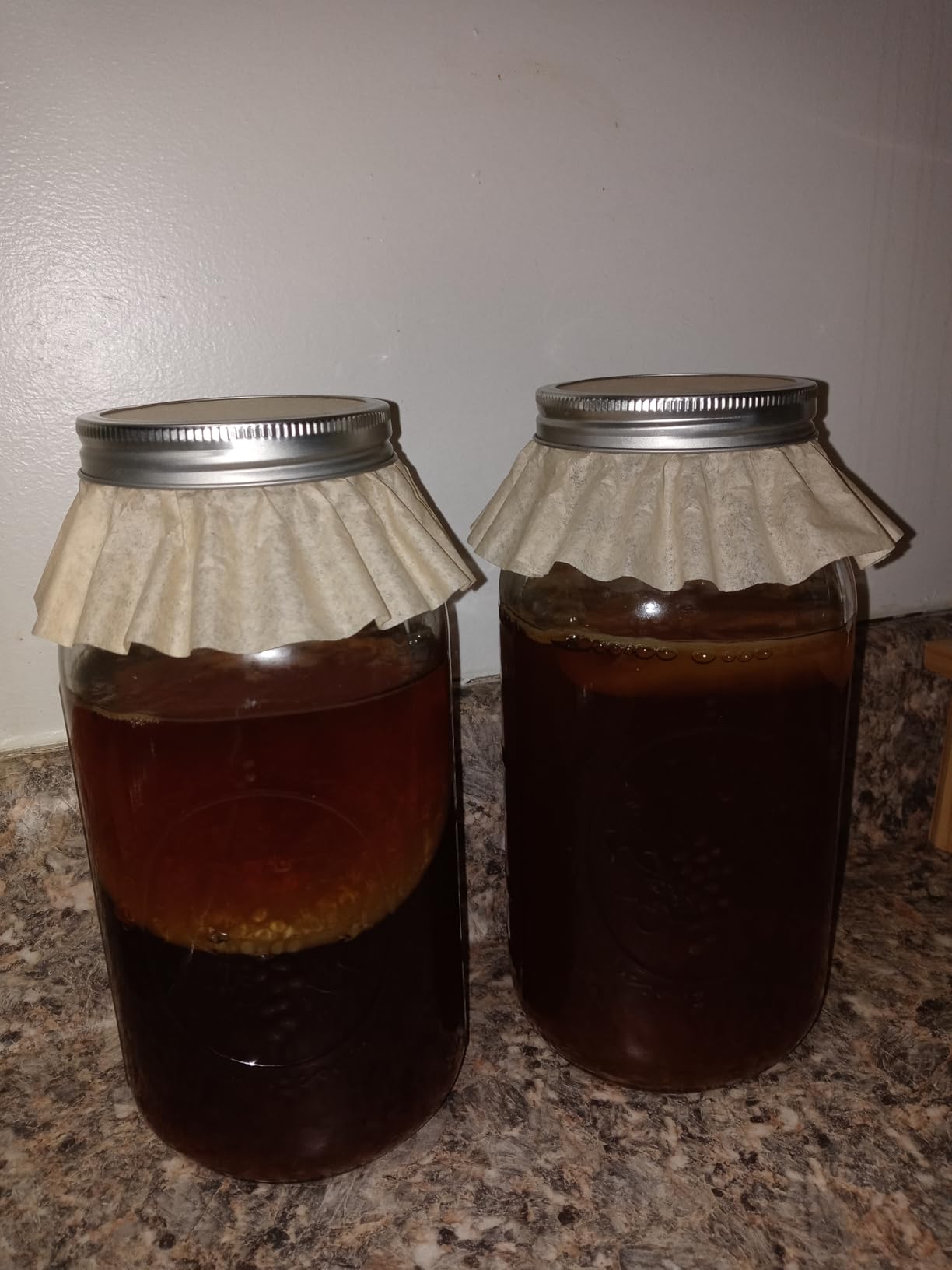 100% Organic SCOBY Kombucha Starter Kit - 100% Guaranteed to Brew - Fresh, Live Culture with Starter Liquid - The Kombucha Shop customer photo 2