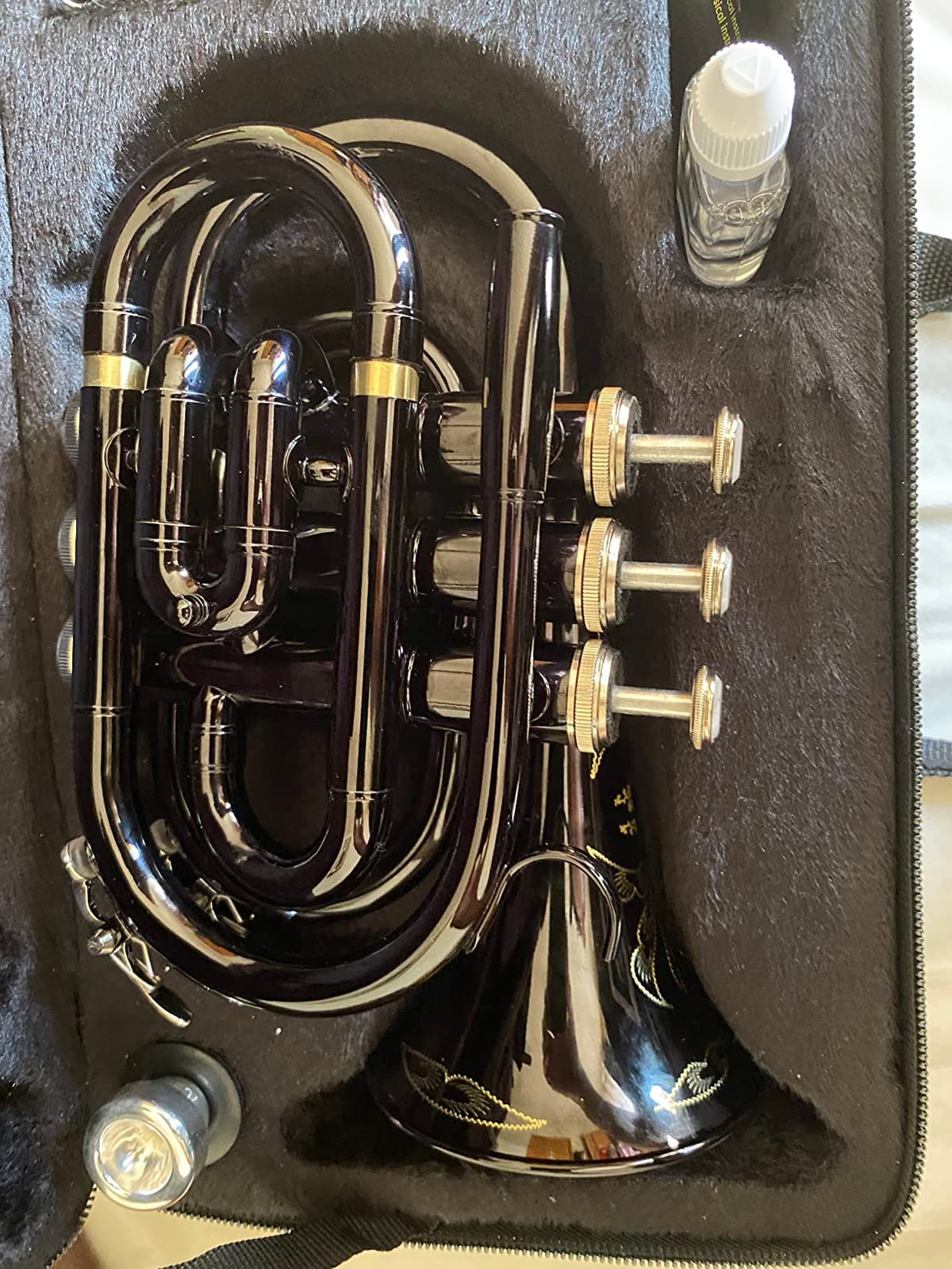 Glory Bb Pocket Trumpet with Case, Cleaning Cloth, Gloves, Gold Lacquer (LAQUER) customer photo 1