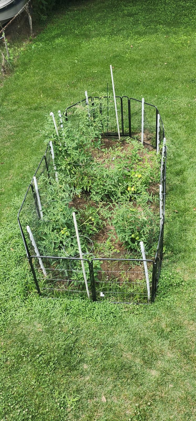 FXW No Dig Garden Fence, Outdoor for Yard, 32in(H) x 36.4ft(L), 16 Panels | Heavy-duty Metal Animal Barrier, Dog-friendly yard, Flower bed protection, Flexible layout, Decorative customer photo 1