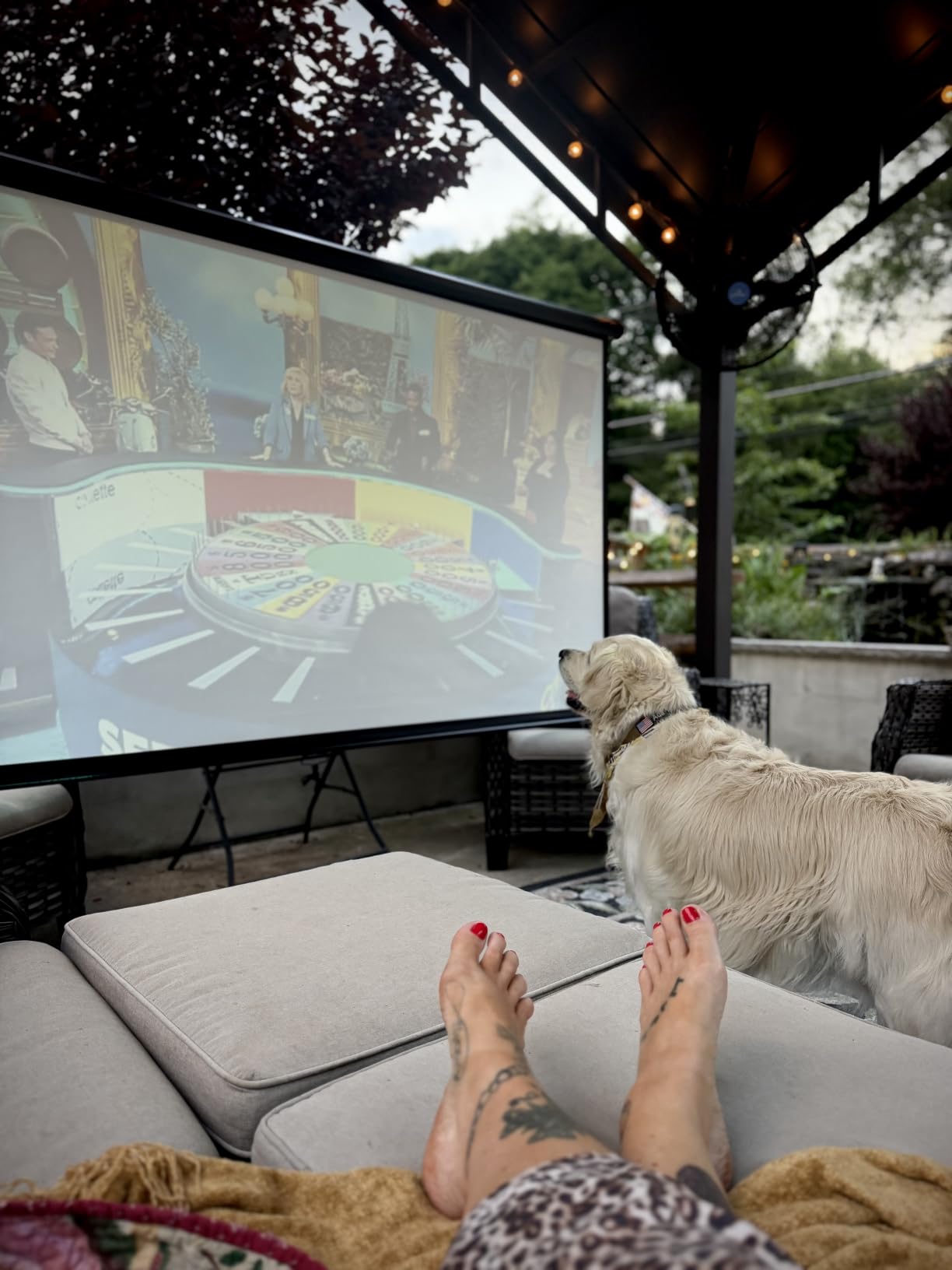 VIVOHOME 80 Inch 16:9 Pull Down Projector Screen, Black | Manual Retractable 4K Projection Screen for Home Theater, Roll Up ALR Movie Screen for Ceiling and Wall Mount customer photo 1