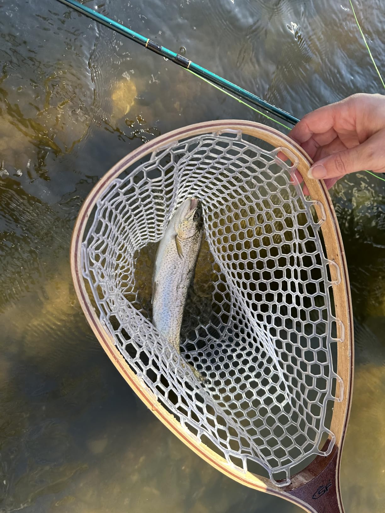 SF Fly Fishing Landing Net Soft Rubber Mesh Trout Net Catch and Release Net customer photo 2