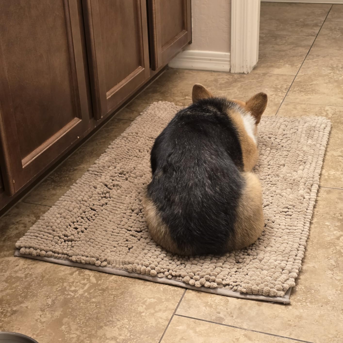 H.VERSAILTEX Sage Bathroom Rugs, Bath Mat Set of 2 Extra Thick Chenille Striped Pattern Shaggy Bath Rugs for Bath Room, Non Skid Bath Mats for Bathroom Floor (32 x 20 Plus 24 x 17 - Inches) customer photo 1