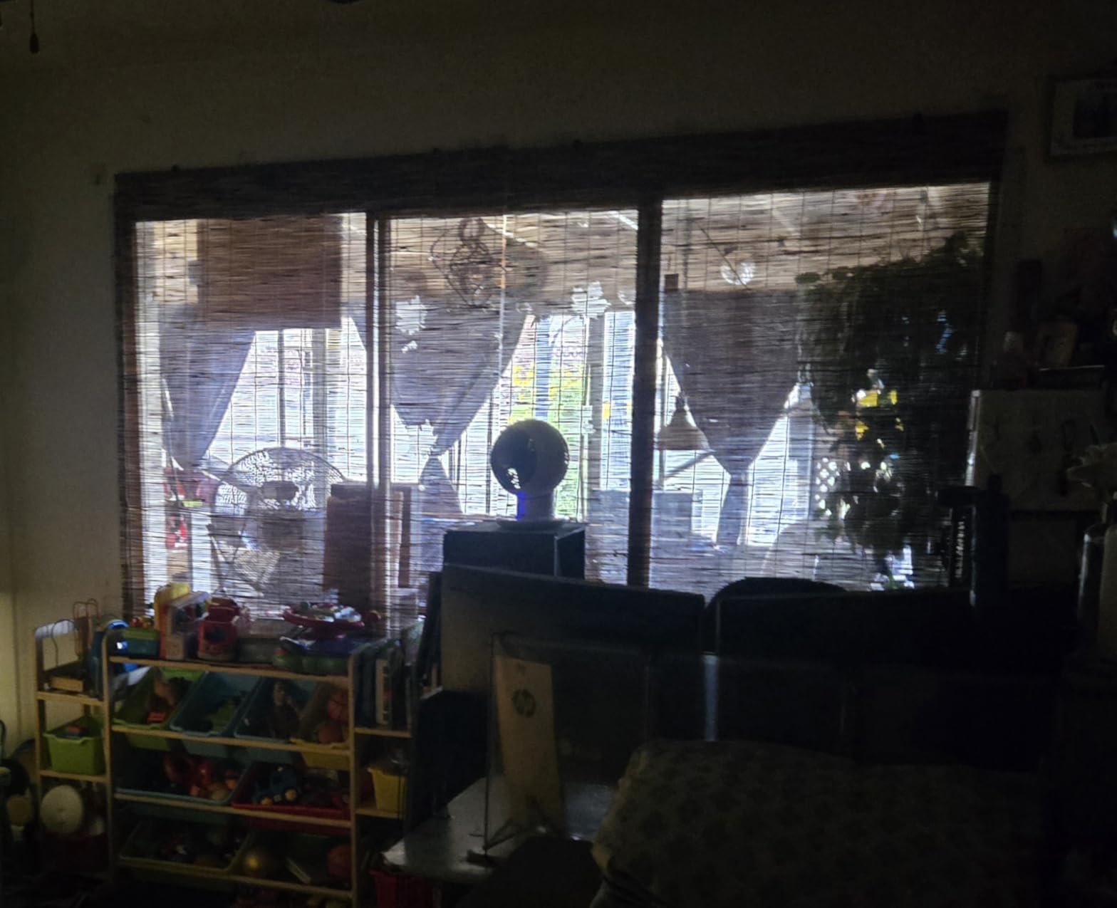 Forever Bamboo Light-Filtering Cord-Free Bamboo Reed Roll-Up Blind Shades for Windows Manual Roman Blinds Coffee 48 in W x 72 in H customer photo 2
