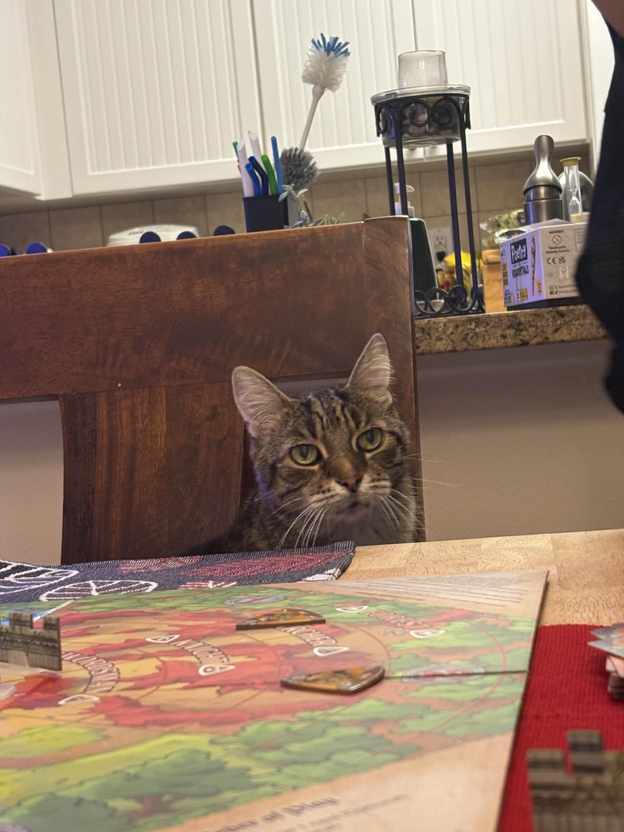 Fireside Games Castle Panic 2nd Edition Fantasy Board Game customer photo 2