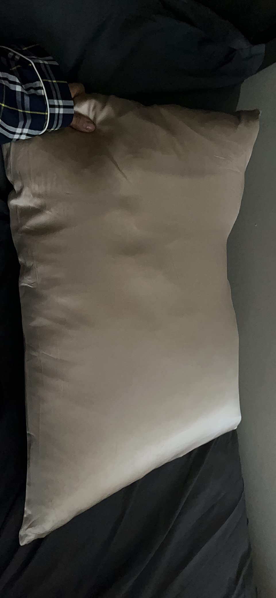 PROMEED 23 Momme 100% Mulberry Silk Pillowcase for Hair and Skin, Standard | Grade 6A+ Organic Silk Reduces Friction To Prevent Hair Breakage customer photo 1