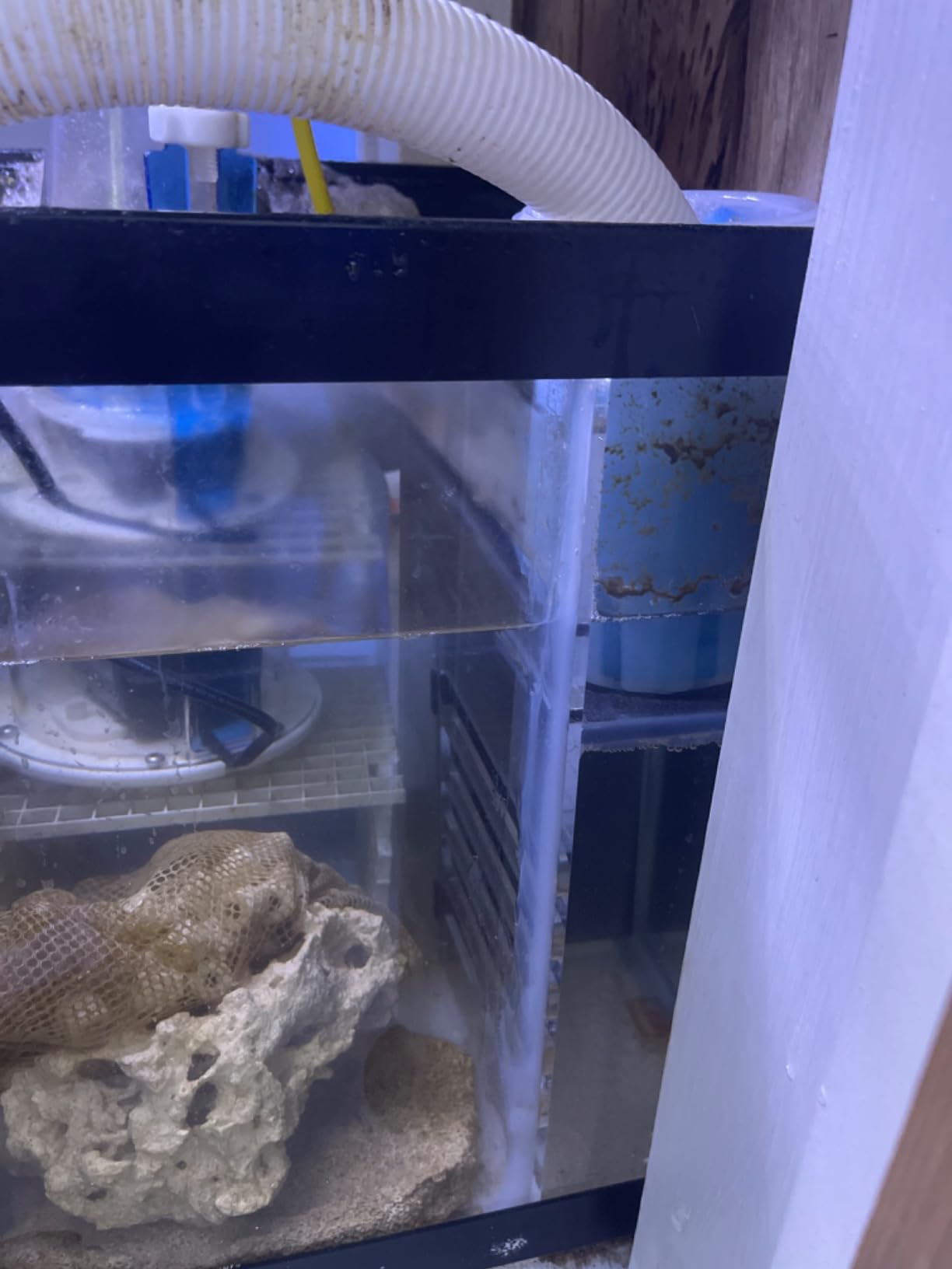 Adjustable Sump Baffle Kit - Refugium Kit for 40 Gallon Breeder Tank - Reef Aquarium - Saltwater Aquarium Filter System- Protein Skimmer Sump customer photo 2