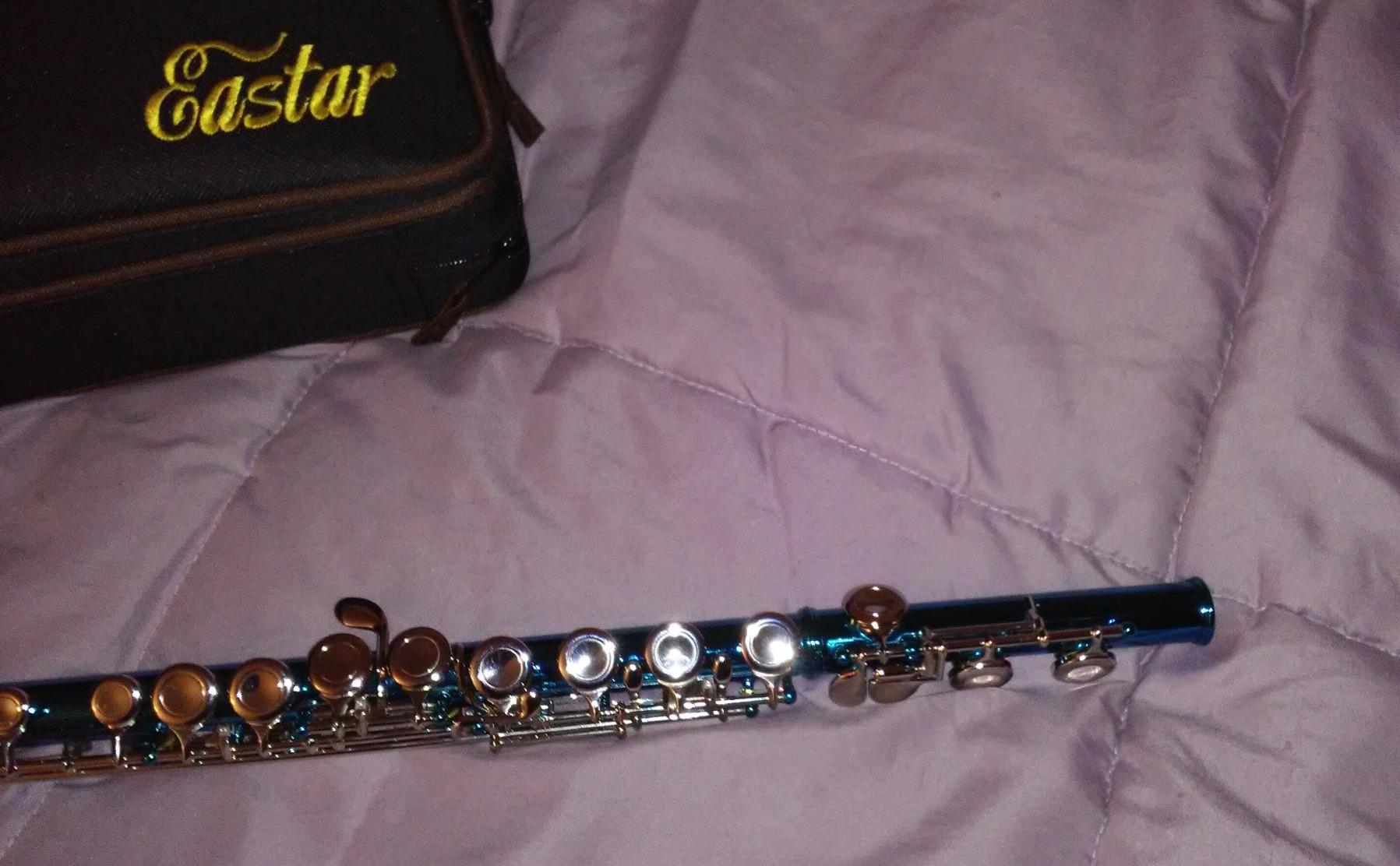 Eastar 16-Key Closed Hole C Flute Advanced Upgraded Silver Full Kit, EFL-1S customer photo 1