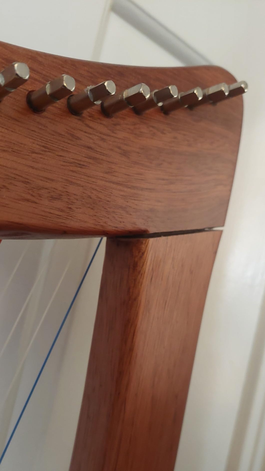 Lotkey Lyre Harps customer photo 1