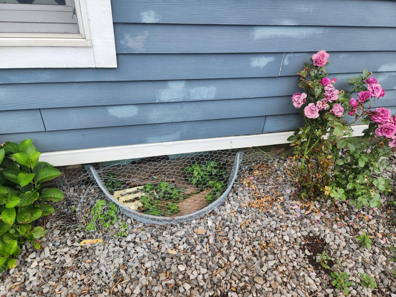 Just Cover It Basement Window Well Covers Outside Protection | Made in USA, Easy Installation Clear Polycarbonate Window Well Cover, UV Resistant with Rust-Free Aluminum Bracing customer photo 1