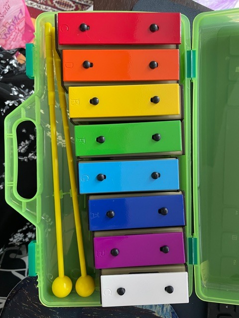 Glockenspiel Xylophone for Kids Colorful 25 Notes with 30-Song Songbook | Glockenspiel Instrument, Kids Xylophone, Metal Keys, Yellow Case, 2 Mallets, Music Learning, Classroom Use, Birthday Gift customer photo 1