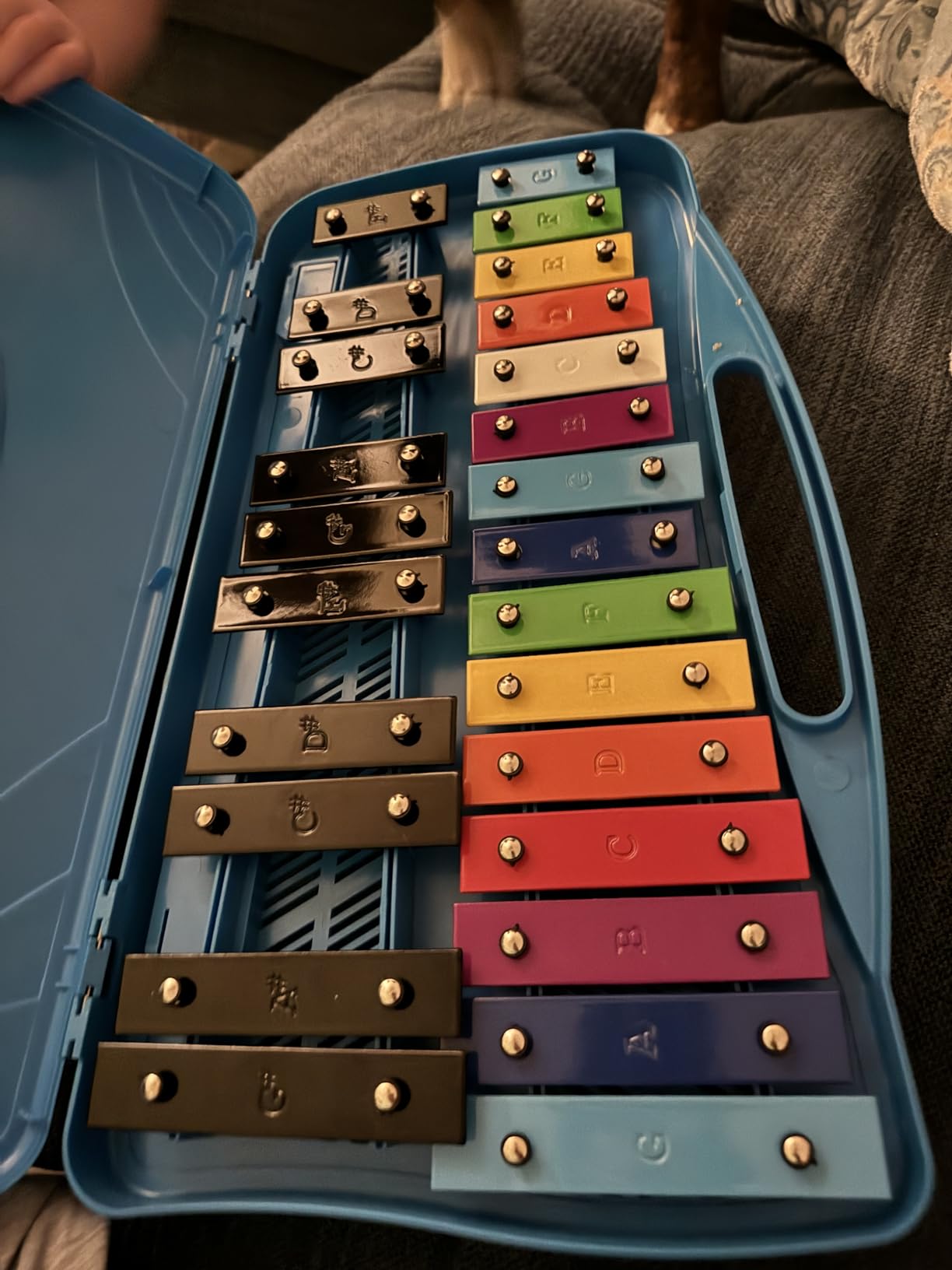 Glockenspiel Xylophone for Kids Colorful 25 Notes with 30-Song Songbook | Glockenspiel Instrument, Kids Xylophone, Metal Keys, Yellow Case, 2 Mallets, Music Learning, Classroom Use, Birthday Gift customer photo 2