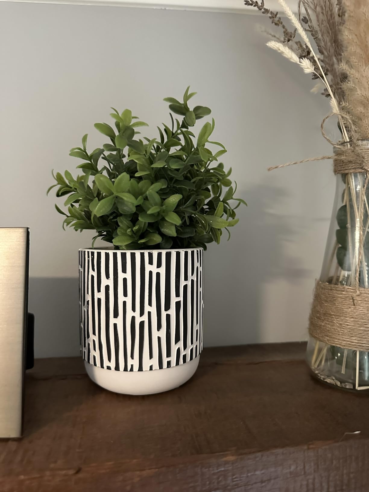 Winlyn 3-Pack Artificial Potted Plants - Faux Eucalyptus, Rosemary, Boxwood Greenery in Small Black & White Geometric Concrete Pots -Desk, Table, Shelf, Windowsill Decor for Indoor Outdoor Home Office customer photo 1