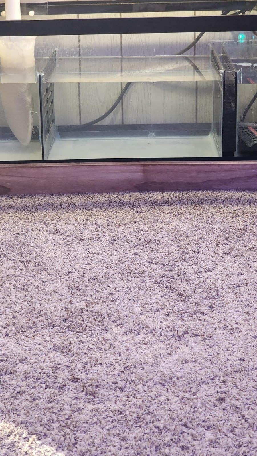 Aquarium Sump Refugium DIY Kit for Protein Skimmer Sump - Chamber dividers for 29 Gallon Standard Tank (Tank is not Included, Dividers Only) customer photo 2