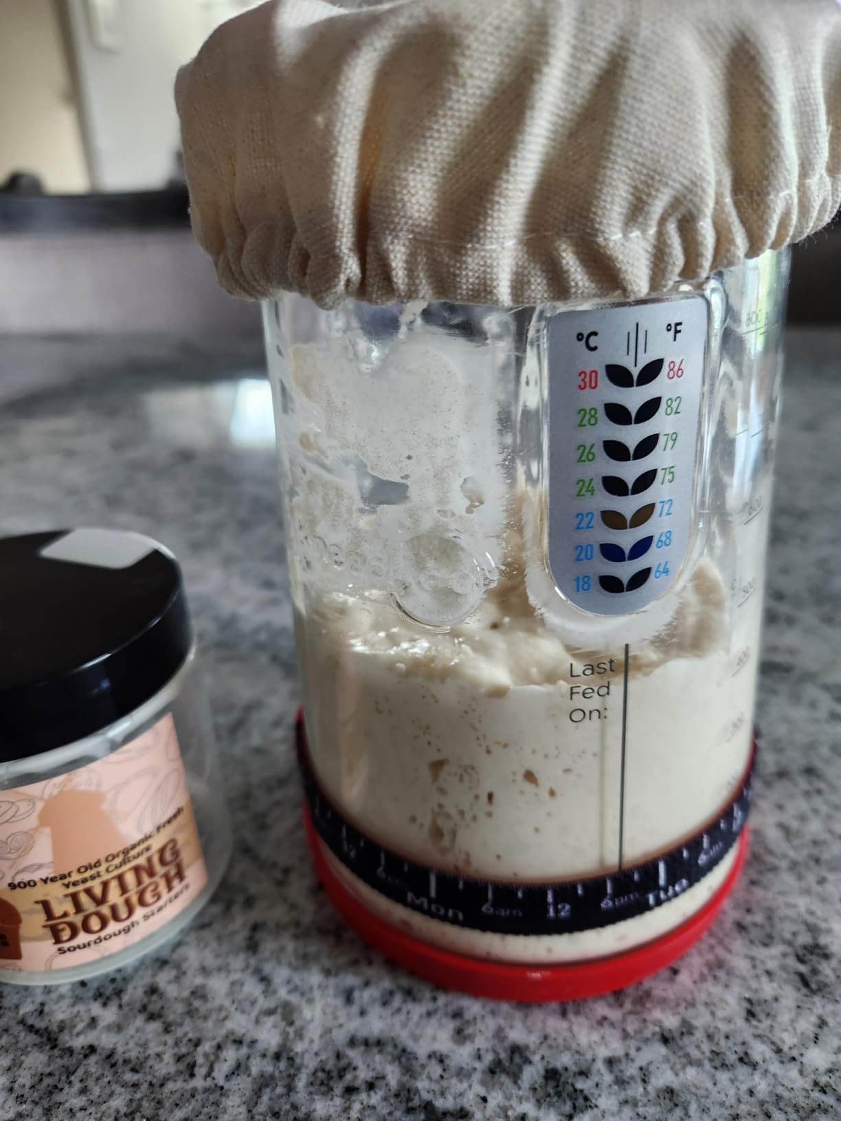 KNEADACE Pro Sourdough Bread Starter Kit - 34 oz Large Capacity Sourdough Starter Jar with 5 unique features for the perfect sour dough bread & sourdough starter kit - sourdough supplies (KA06) customer photo 2