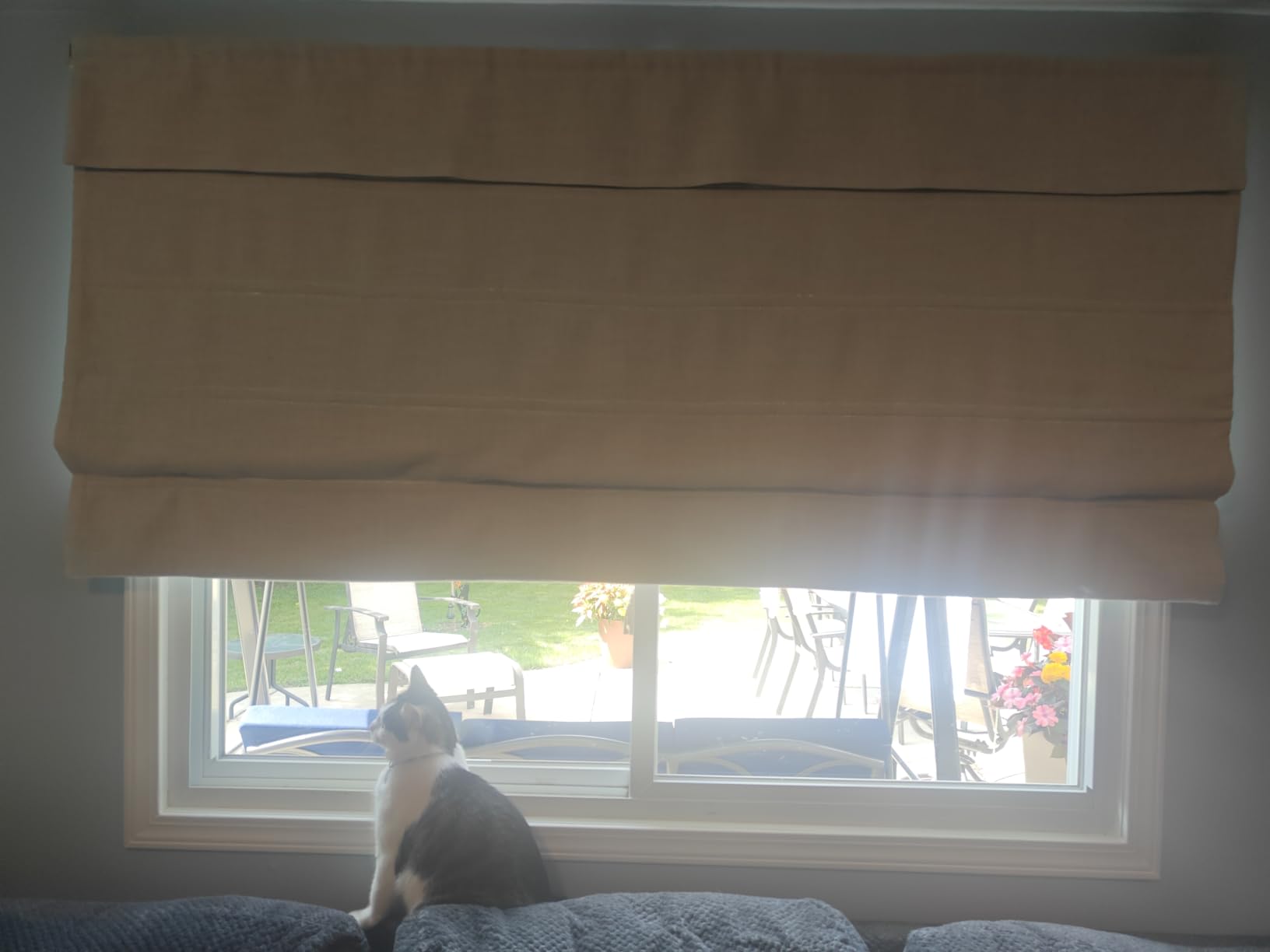 Cordless Linen Roman Shades, Natural Custom Fabric Room Darkening Roman Window Shades customer photo 1