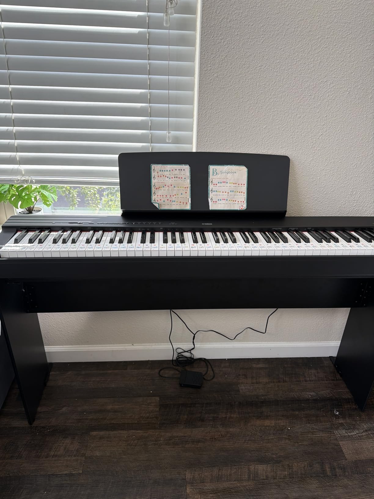 P225 88-Key Digital Piano with Weighted Keys, Portable Design, Keyboard, Music Rest, Sustain Foot Switch, and Built-In Speakers, White (P225WH) customer photo 2