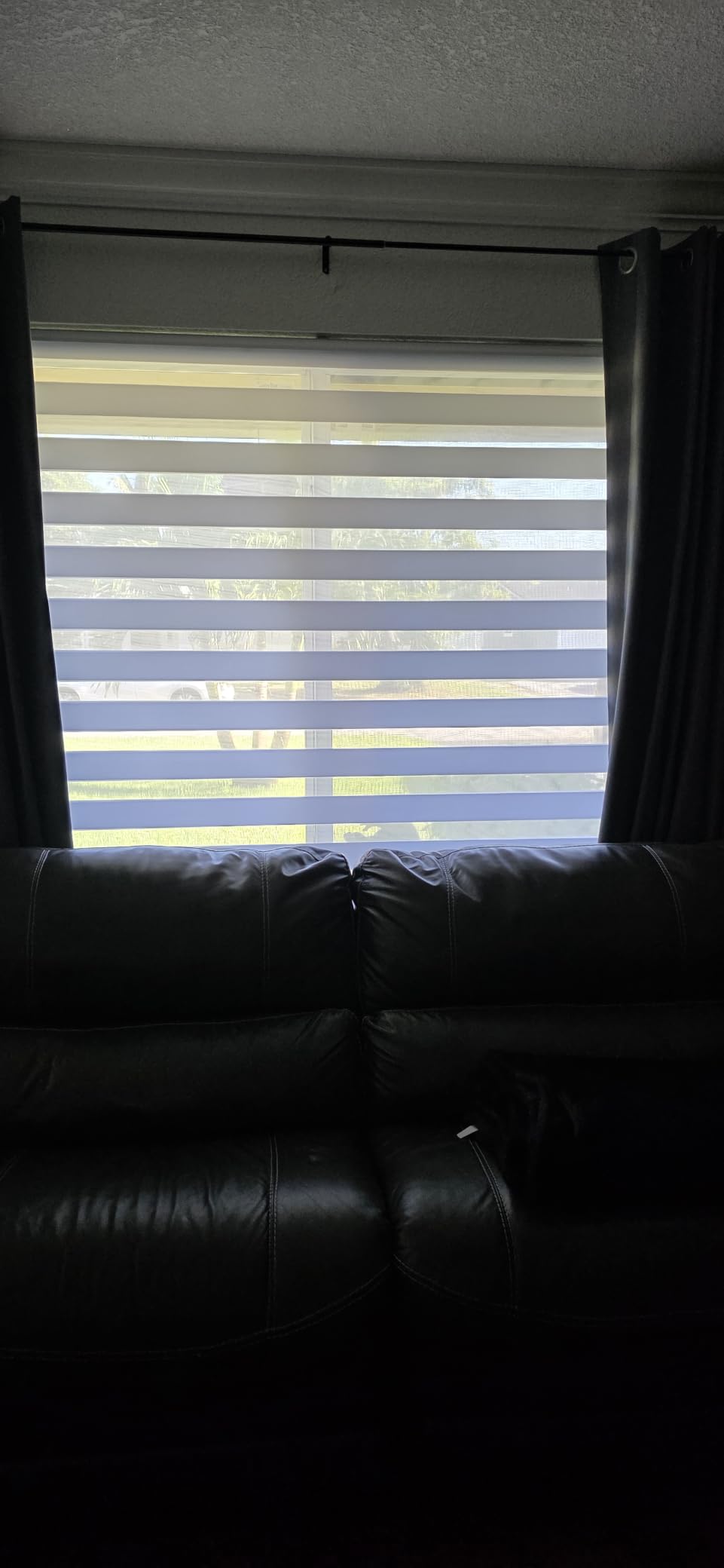 Persilux Zebra Cordless Roller Shades for Windows, Privacy Blinds (29