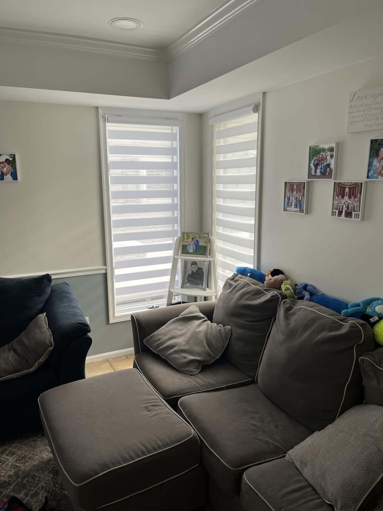 Persilux Zebra Cordless Roller Shades for Windows, Privacy Blinds (29