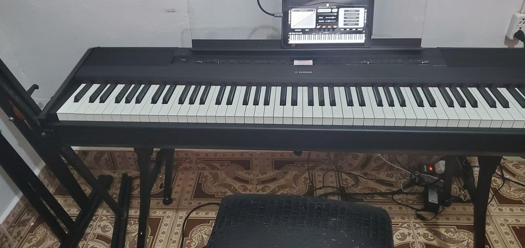 Yamaha 88-Weighted Wooden Key Digital Piano Keyboard, Premium Sound and Touch, Music Rest, Sustain Foot Switch, Black (P525B) customer photo 2
