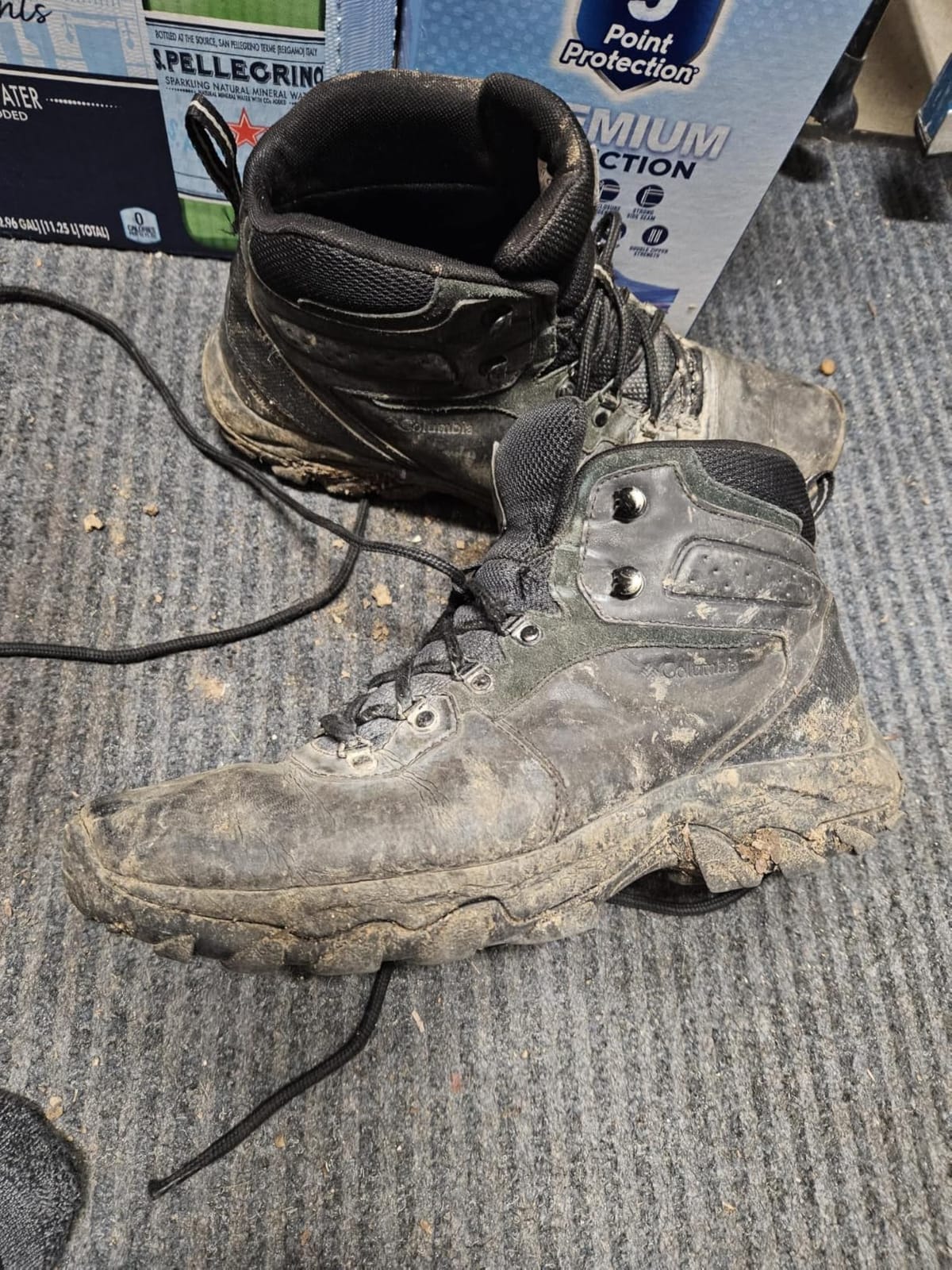 Columbia Men's Newton Ridge Plus II Waterproof Hiking Shoe customer photo 1