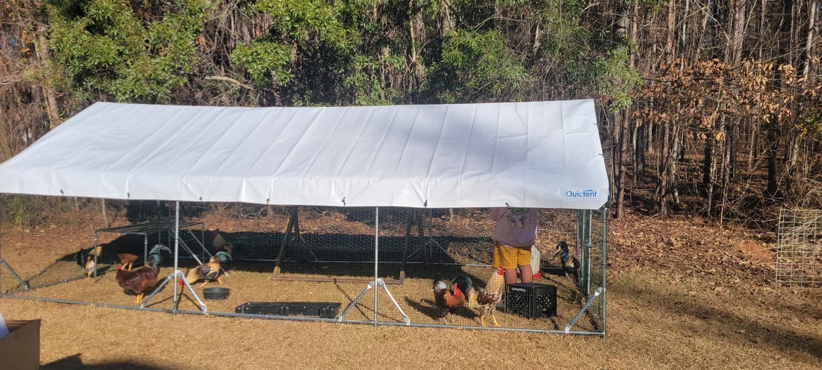 Quictent Large Metal Chicken Coop Run for 30+ Poultry w/Side Hardware Cloth customer photo 2