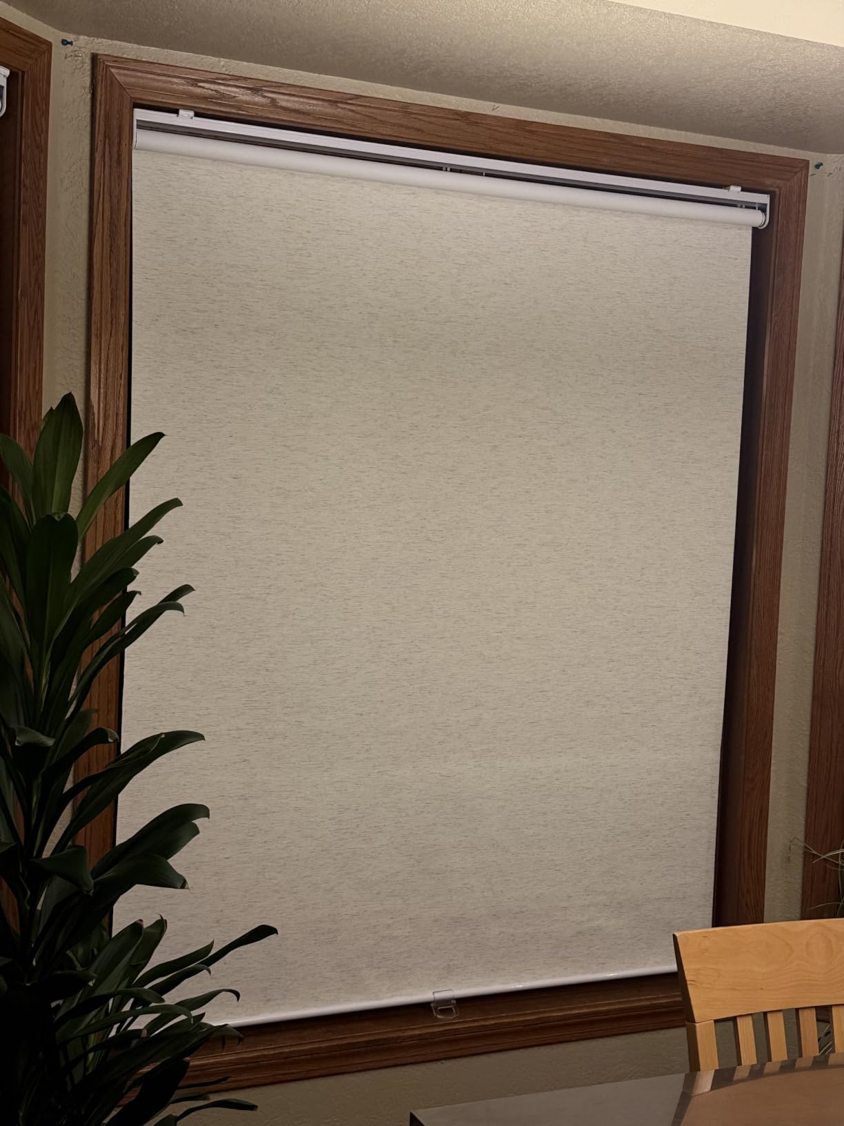 SUNOFF Blackout Cordless Roller Shades Blinds, 70
