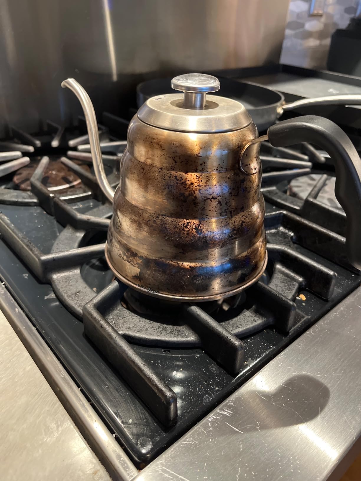 Tea Kettle For Stovetop, Silver, Gooseneck Coffee Pot with Thermometer, 40oz | Gooseneck Kettle for Manual Drip Coffee Tea, Stainless Steel Pour Over Kettle, 1200ml, 6 Cup customer photo 1