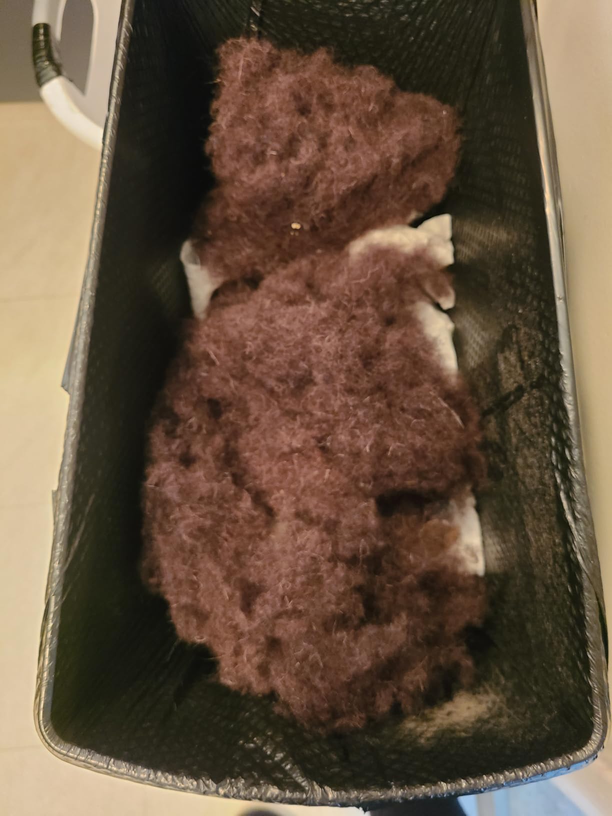 Molithe 100% Wool Blanket, 62