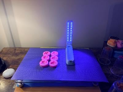 Resiners UV Resin Light, Rechargeable 3-in-1 Foldable UV Lamp, AirWave Pro | Adjustable 3-in-1 Design for Desktop, Handheld or Wall-Mounted Curing of Resin Jewelry, Molds and DIY Crafts customer photo 1