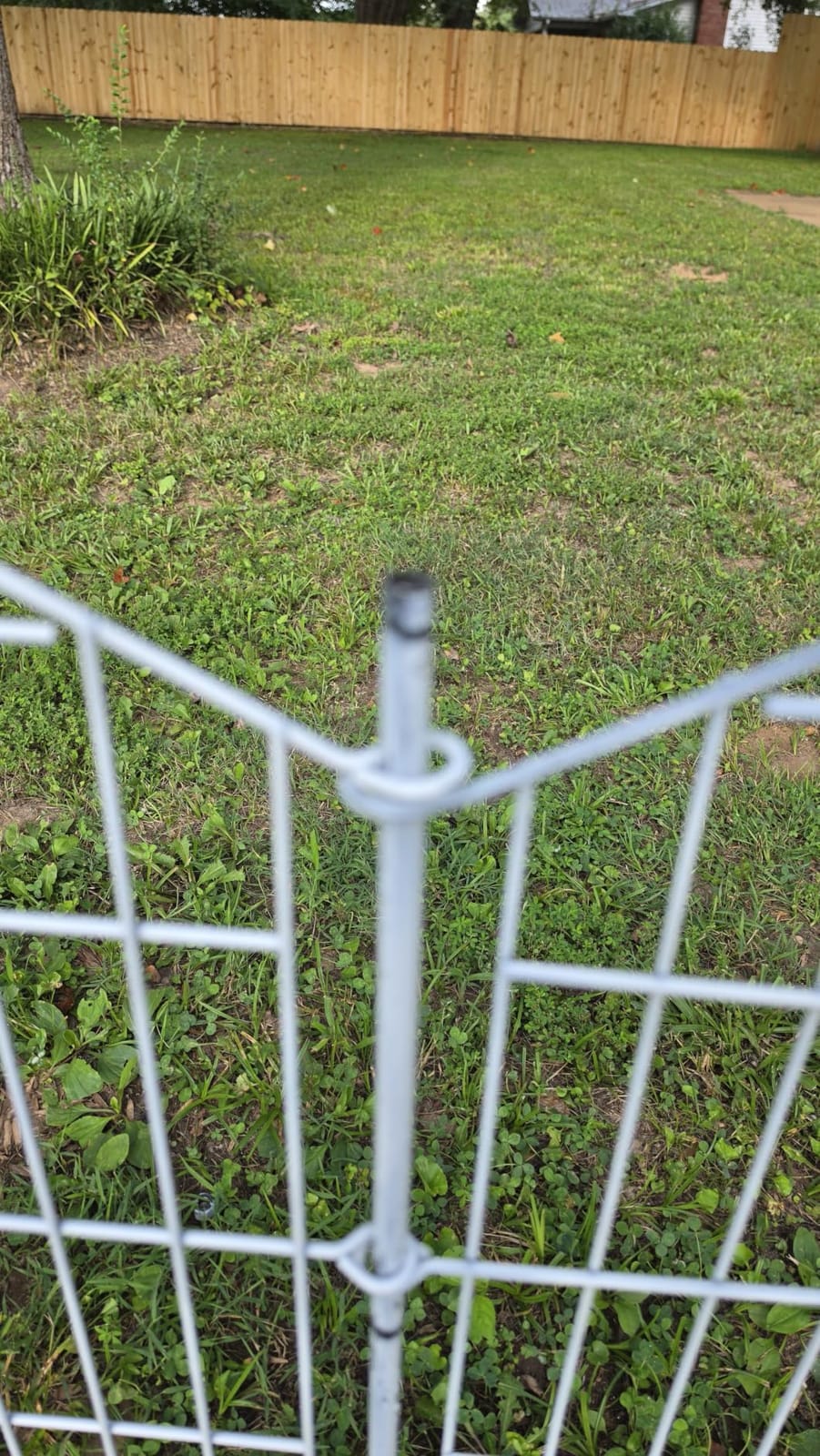 10 Panel No Dig Decorative Garden Fence with Gate 40