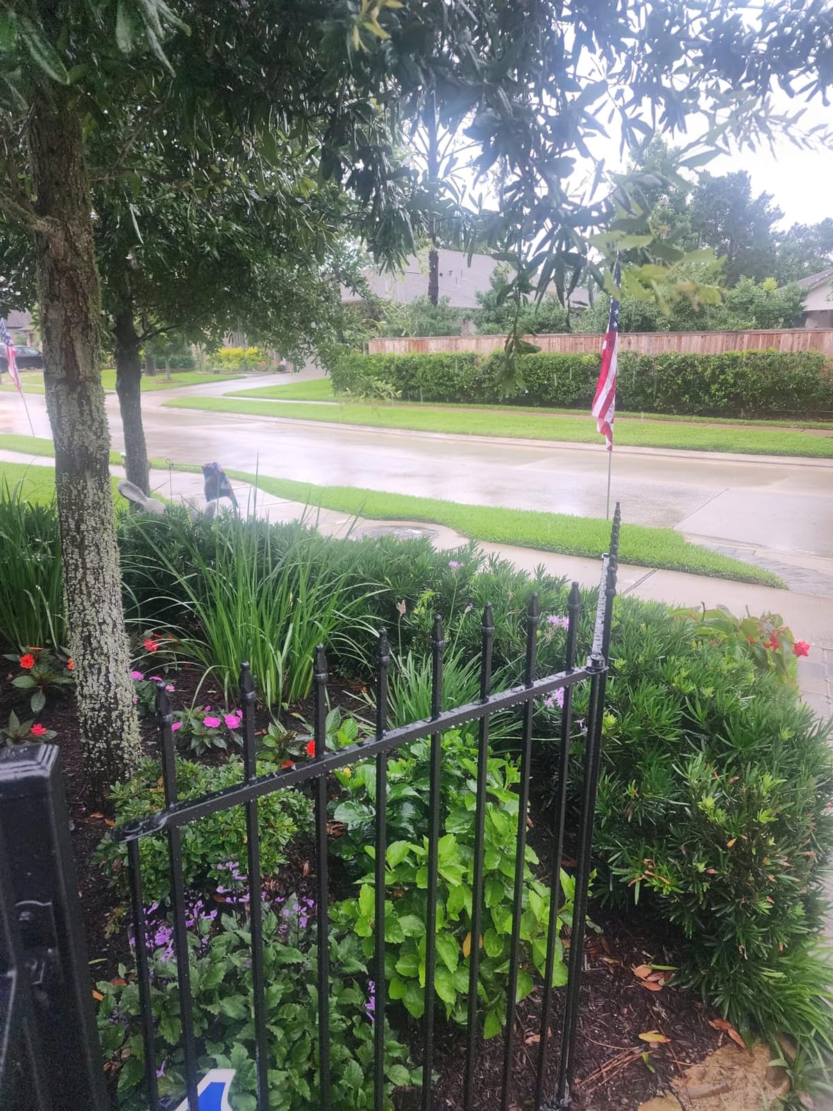 Decorative Metal Garden Fence 30