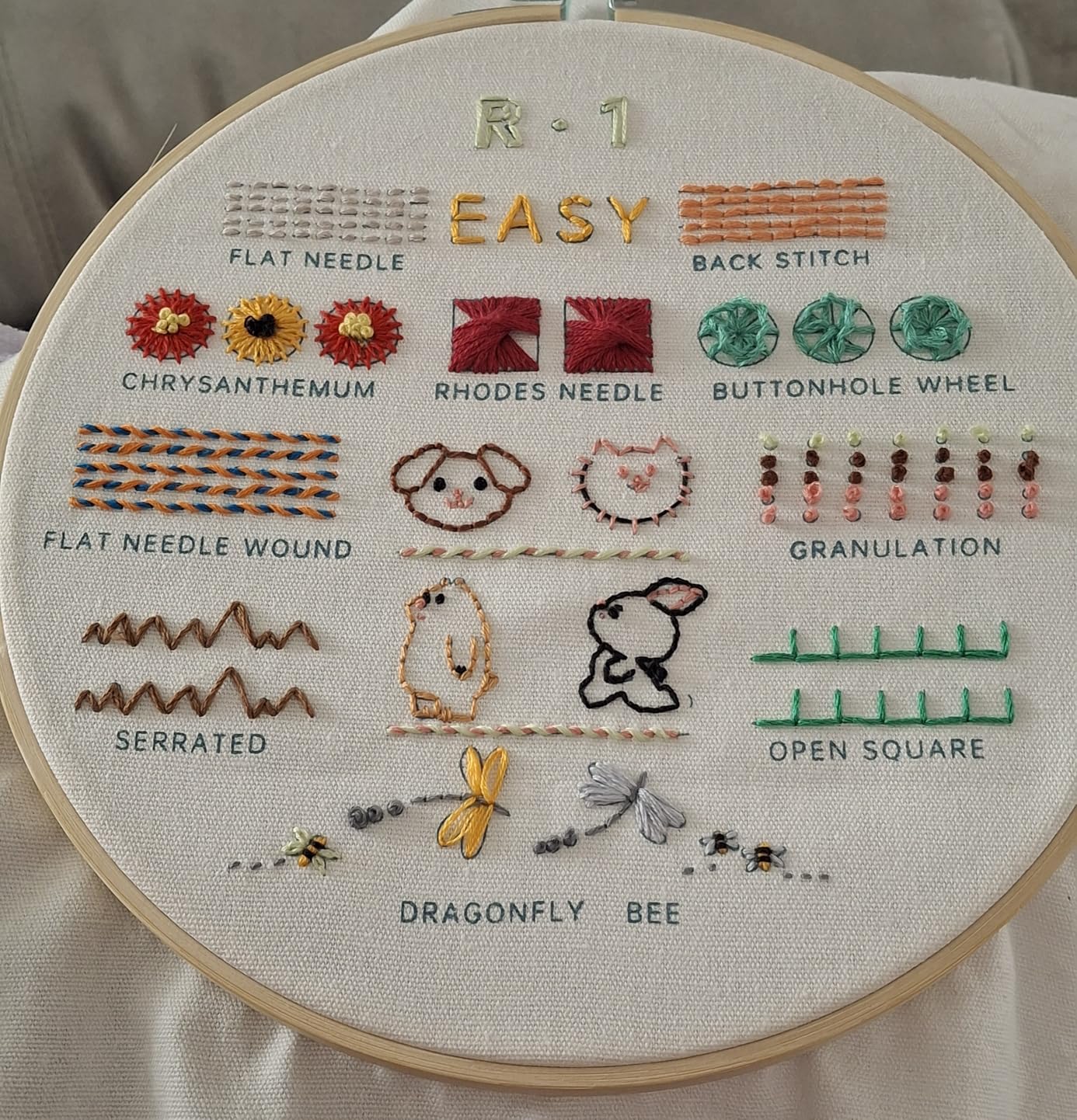 CYANFOUR Embroidery Kit for Beginners with Step-By-Step Guidance & Videos | 4 Stages to Learn 38 Stitches, Includes Multiple Accessories, Gift for Craft Lovers customer photo 1