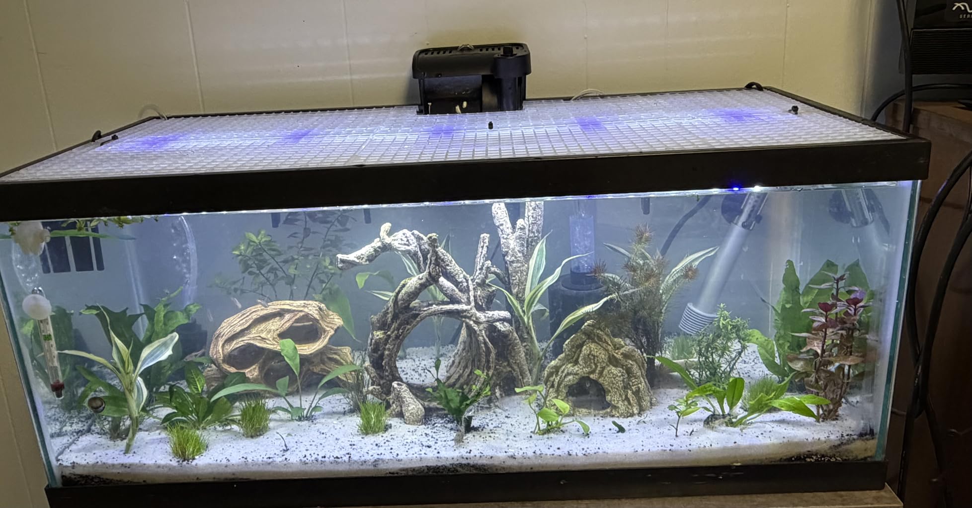 4 Aquarium lid Hood Fish Tank top Cover Terrarium lid Plastic Grid Panel Egg Crate Grate 6 Aquarium Glass Cover Board Clip customer photo 1