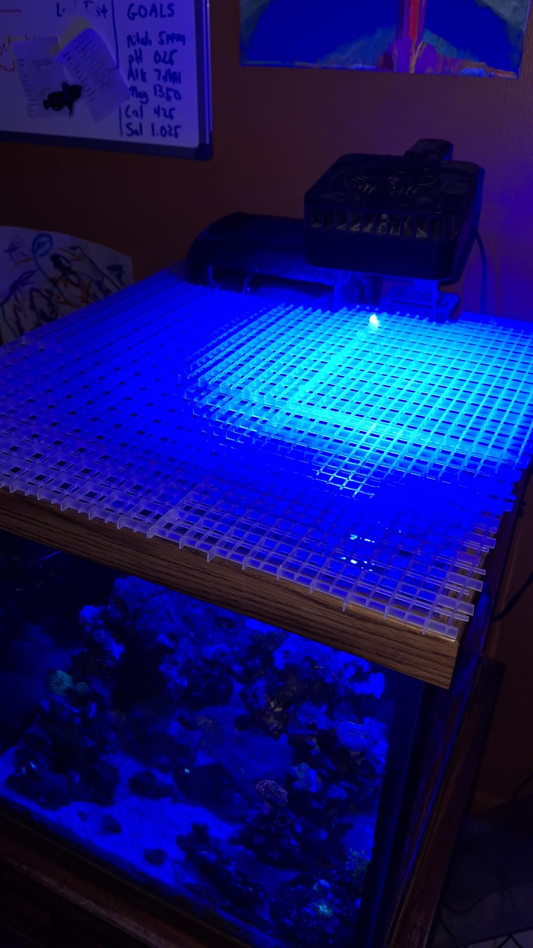 4 Aquarium lid Hood Fish Tank top Cover Terrarium lid Plastic Grid Panel Egg Crate Grate 6 Aquarium Glass Cover Board Clip customer photo 2