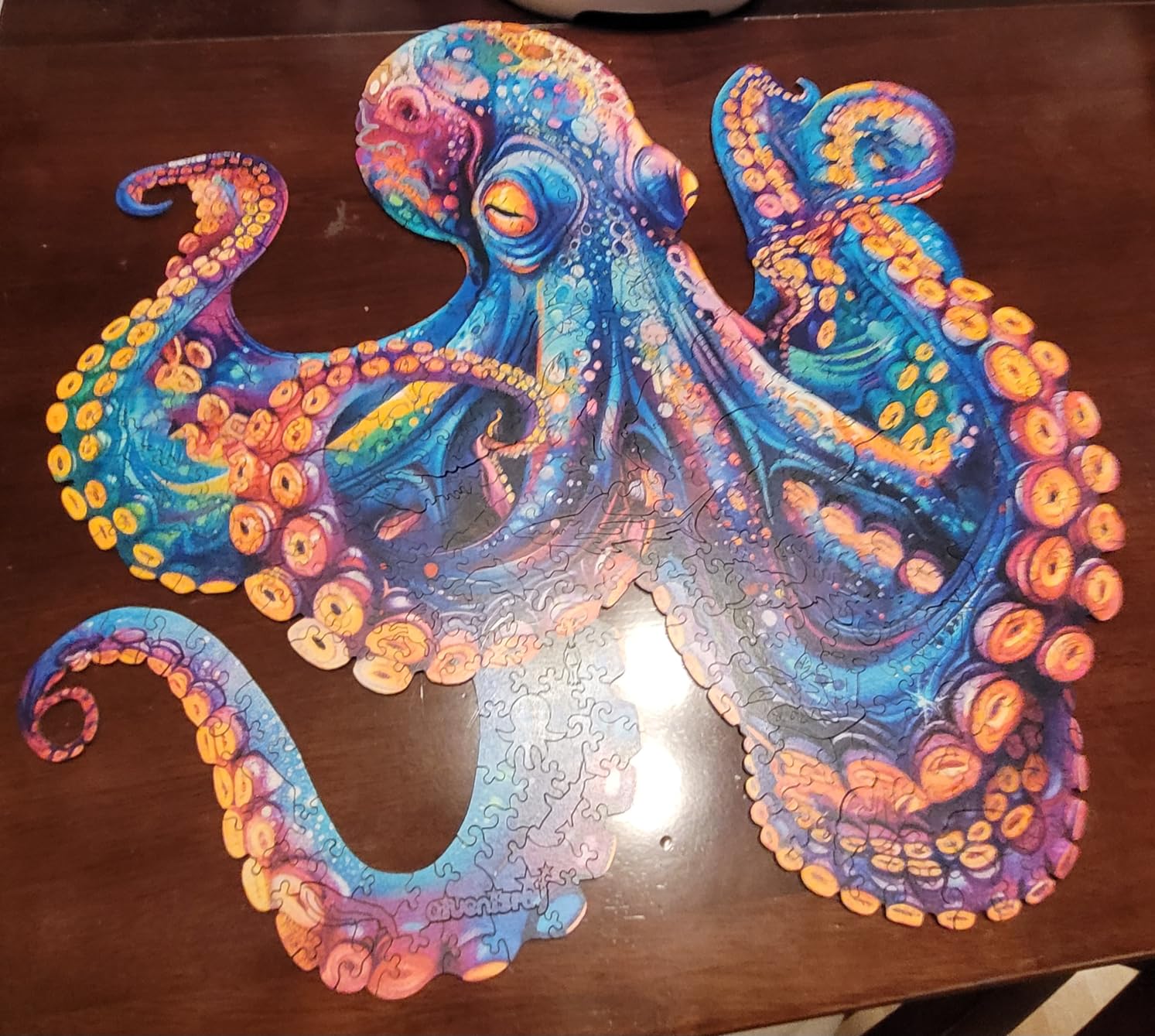 Qiuenisray 500 Piece Wooden Octopus Jigsaw Puzzles for Adults, FSC Certified Unique Shape Ocean Puzzle, Wall Decor, Creative Family Game 16.9x16.9 in customer photo 2