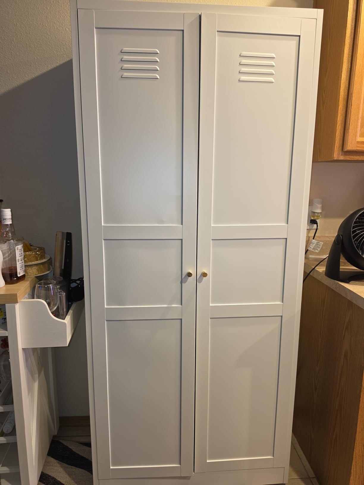 Yizosh Metal Storage Cabinet with 2 Doors and 4 Adjustable Shelves - 61