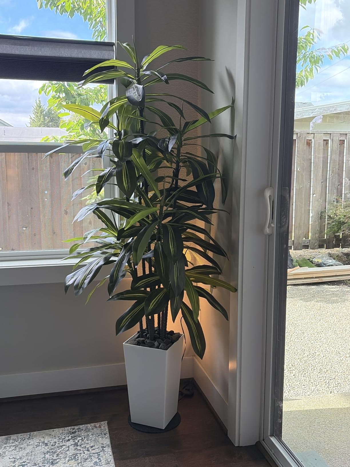 ASTIDY Artificial Plant 5FT Dracaena Fake Tree with White Tall Planter | Faux Yucca Floor Plant in Pot, Artificial Trees for Home Office Living Room Decor Indoor customer photo 2
