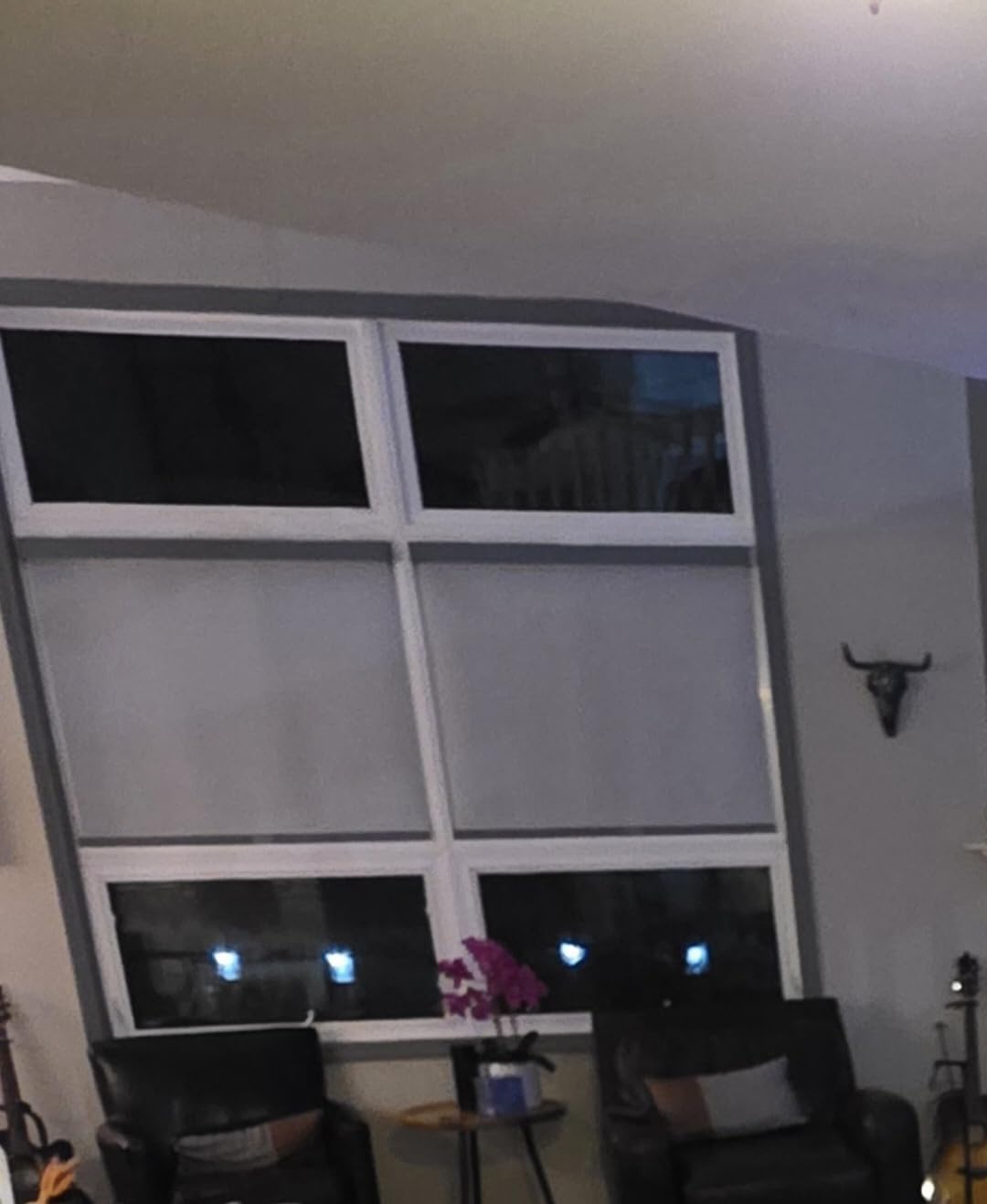 AOSKY Light Filtering Roller Shades for Windows, 34