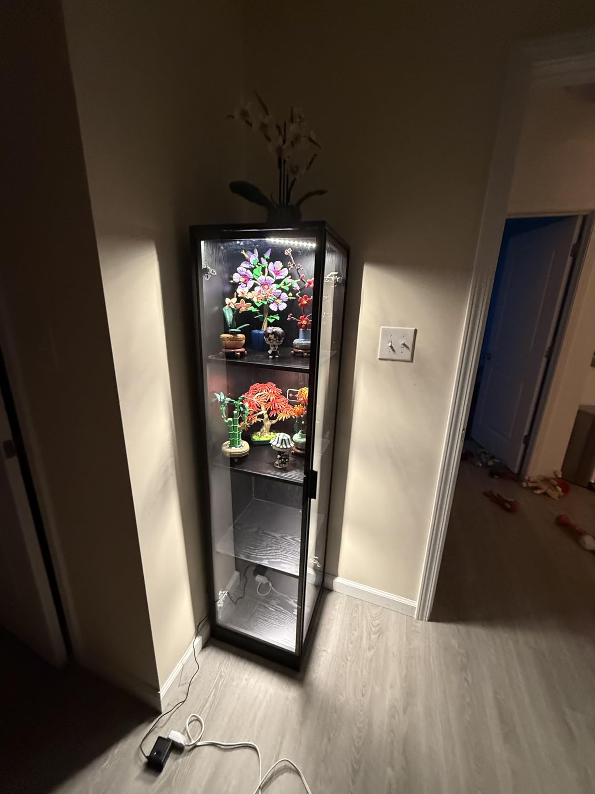 BROTTAR Corner Display Cabinet with Doors, 4-Tier, 3 Color Light, Black | Curio Cabinet, Display Case for Collectibles, Storage Cabinets with Door, Bookcase with Human Body Sensor customer photo 2