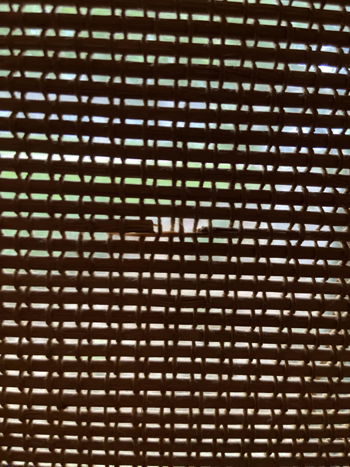 Cordless Woven Wood Roman Shades, Bamboo Shades Sizes 20 to 72 Wide and 24 to 72 High, Bamboo Mesh Natural customer photo 2