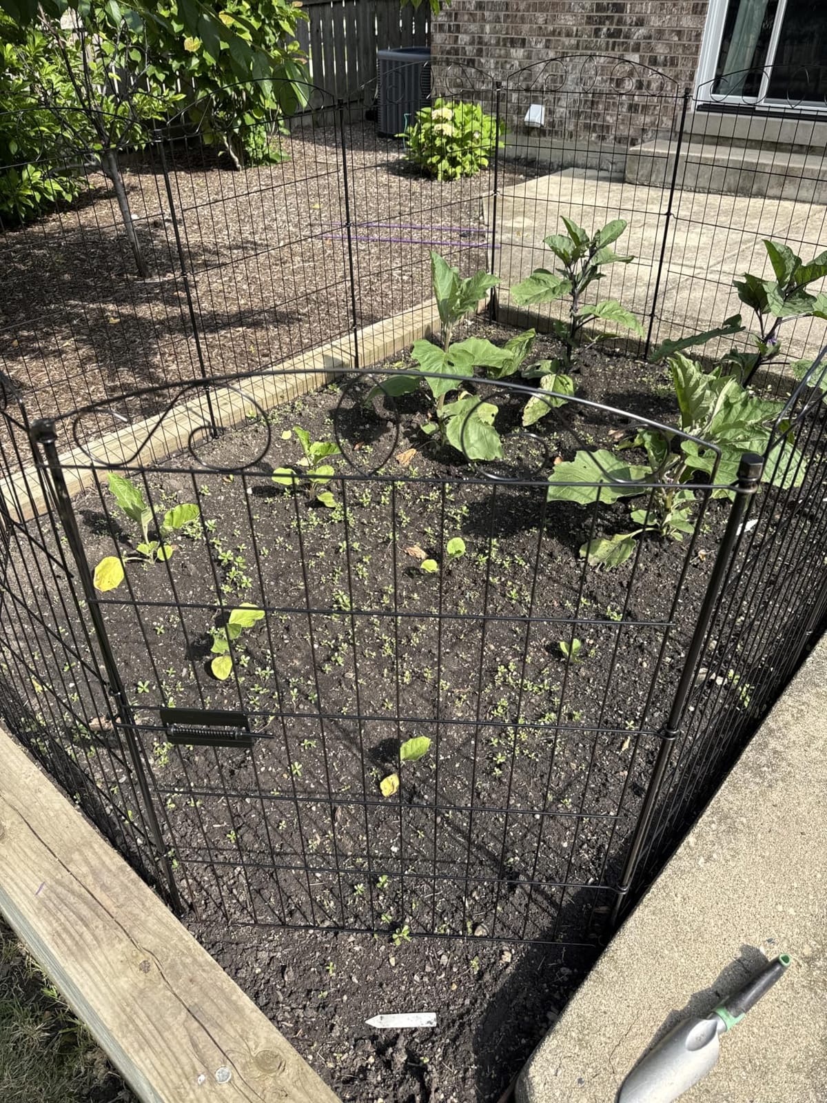 12 Panel No Dig Decorative Garden Fence 42