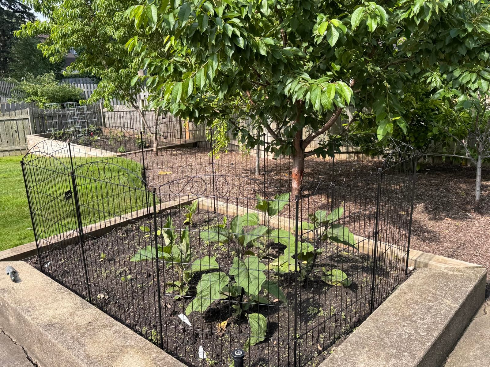 12 Panel No Dig Decorative Garden Fence 42