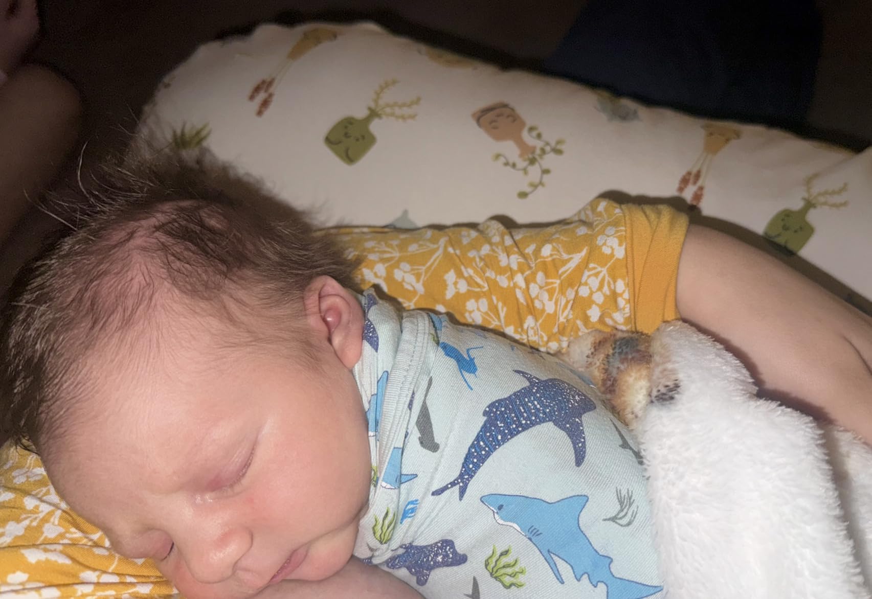 Boppy Nursing Pillow - Verified Safe Breastfeeding Pillow with Softer Fill for Comfortable Support, Machine Wash & Dry Cover, Non-Toxic Materials - Gray Gentle Leaves customer photo 2