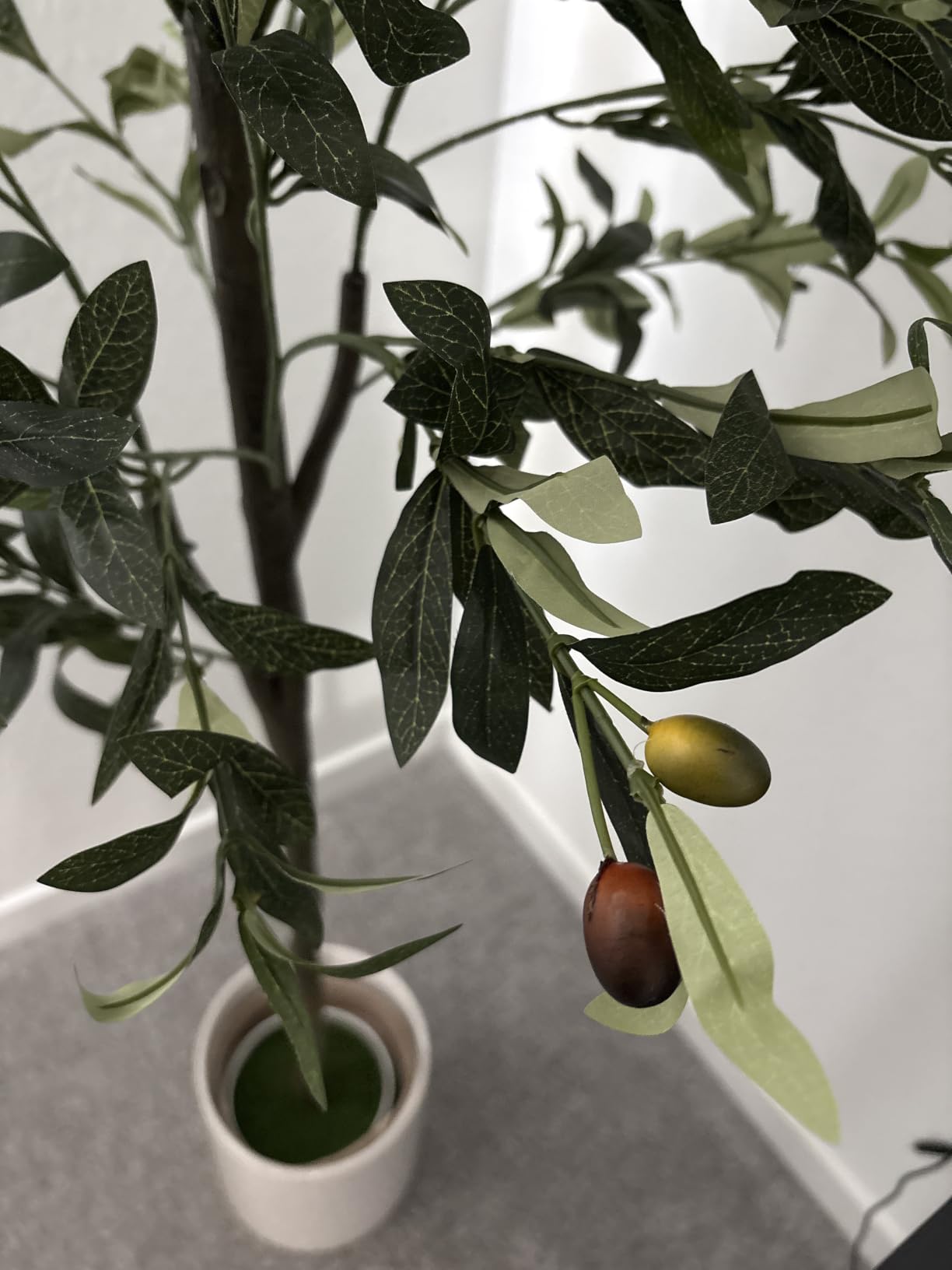 6FT Artificial Olive Tree Indoor Tall Faux with Planter&Basket | Large Fake Olive Silk Trees Realistic Olive Plants with Branches and Fruits for Home Decor Office Living Room customer photo 1
