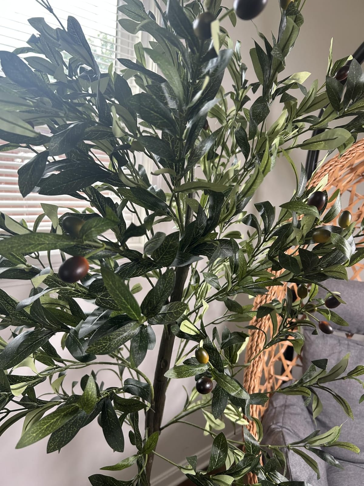6FT Artificial Olive Tree Indoor Tall Faux with Planter&Basket | Large Fake Olive Silk Trees Realistic Olive Plants with Branches and Fruits for Home Decor Office Living Room customer photo 2