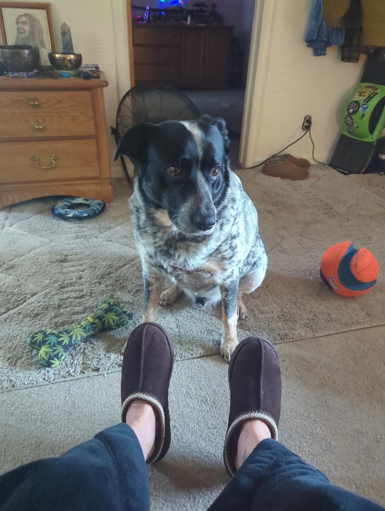 UGG Men's Tasman II customer photo 1