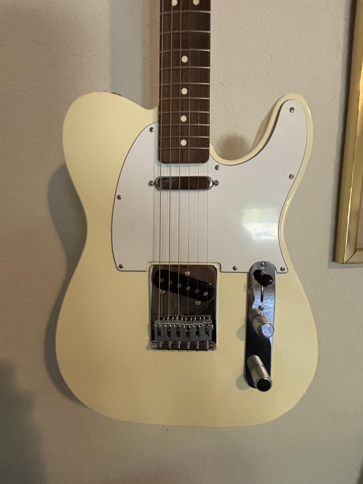 Standard Telecaster, Maple Fingerboard, Black Pickguard, Butterscotch Blonde customer photo 2