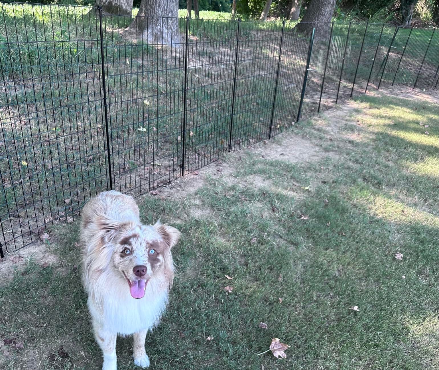 No Dig Garden Fence, Dog Fencing Outdoor for Yard, 10 Panels | 34in(H) x 22.5ft(L) Rustproof Metal Animal Barrier Fence for Gardens, Patios and Decorative Flower Beds, Temporary Fencing customer photo 2