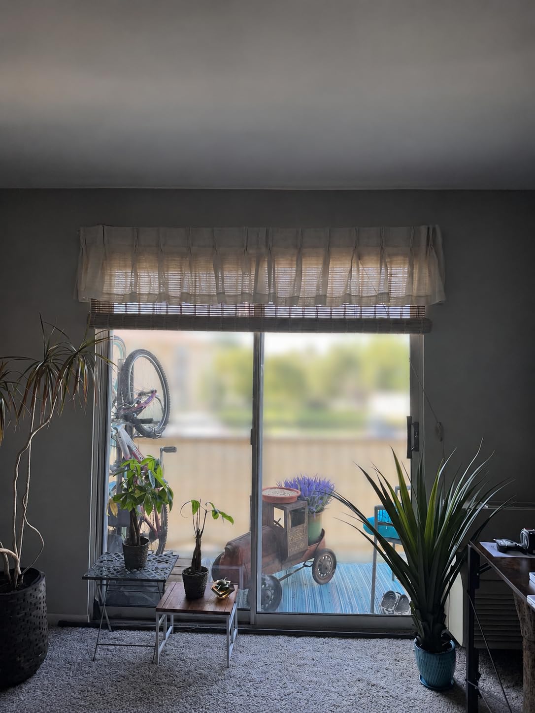 BAYUE Bamboo Blinds for Interior Windows, Roll Up Light Filtering, 23x48 in | Bamboo Shades for Indoor Windows with Install hardware for bedrooms, living rooms, dining areas, home offices, and sunrooms customer photo 1