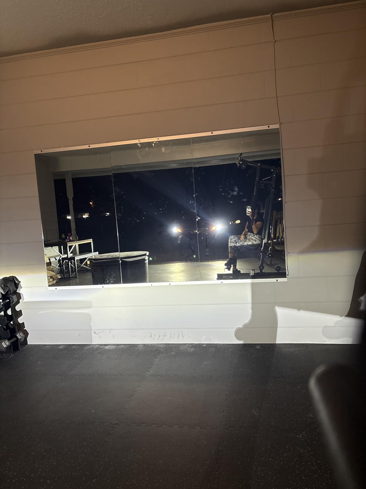 LOAAO Home Gym Mirror 48
